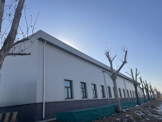 1000 Square Meter Prefabricated Hot DIP Galvanized Frame Logistics Workshop Industrial Building Commercial Building Steel Structure Warehouse