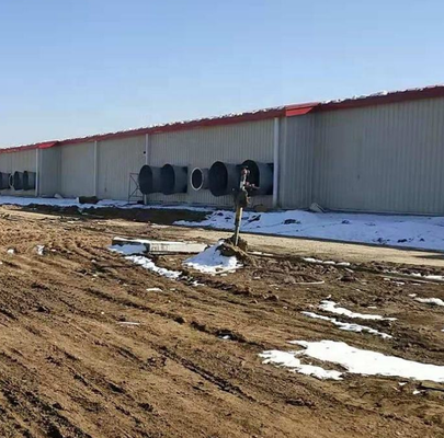 Cobertizo económico de energía para la cría de cerdos con estructura de acero, porqueriza, casa para cerdos